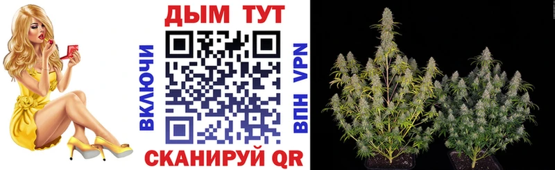 Магазины продажи наркотиков Кондрово ГАШ Канабис A PVP Мефедрон Героин Кокаин