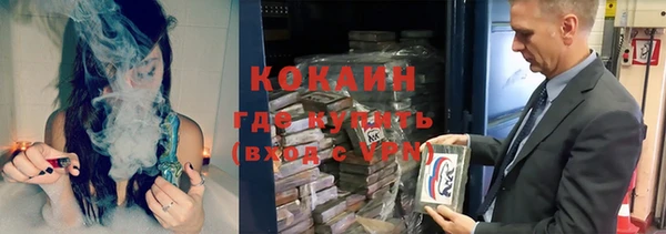 шишки Балабаново
