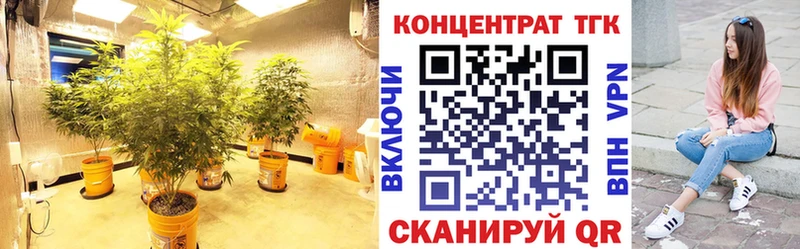 MEGA ТОР  Кондрово  ТГК жижа  что такое  