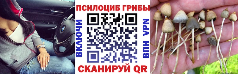Псилоцибиновые грибы мухоморы  Кондрово 