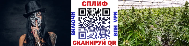 Бошки марихуана THC 21% Кондрово